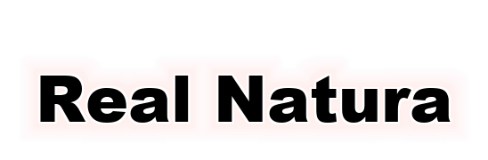 Real Natura Logo